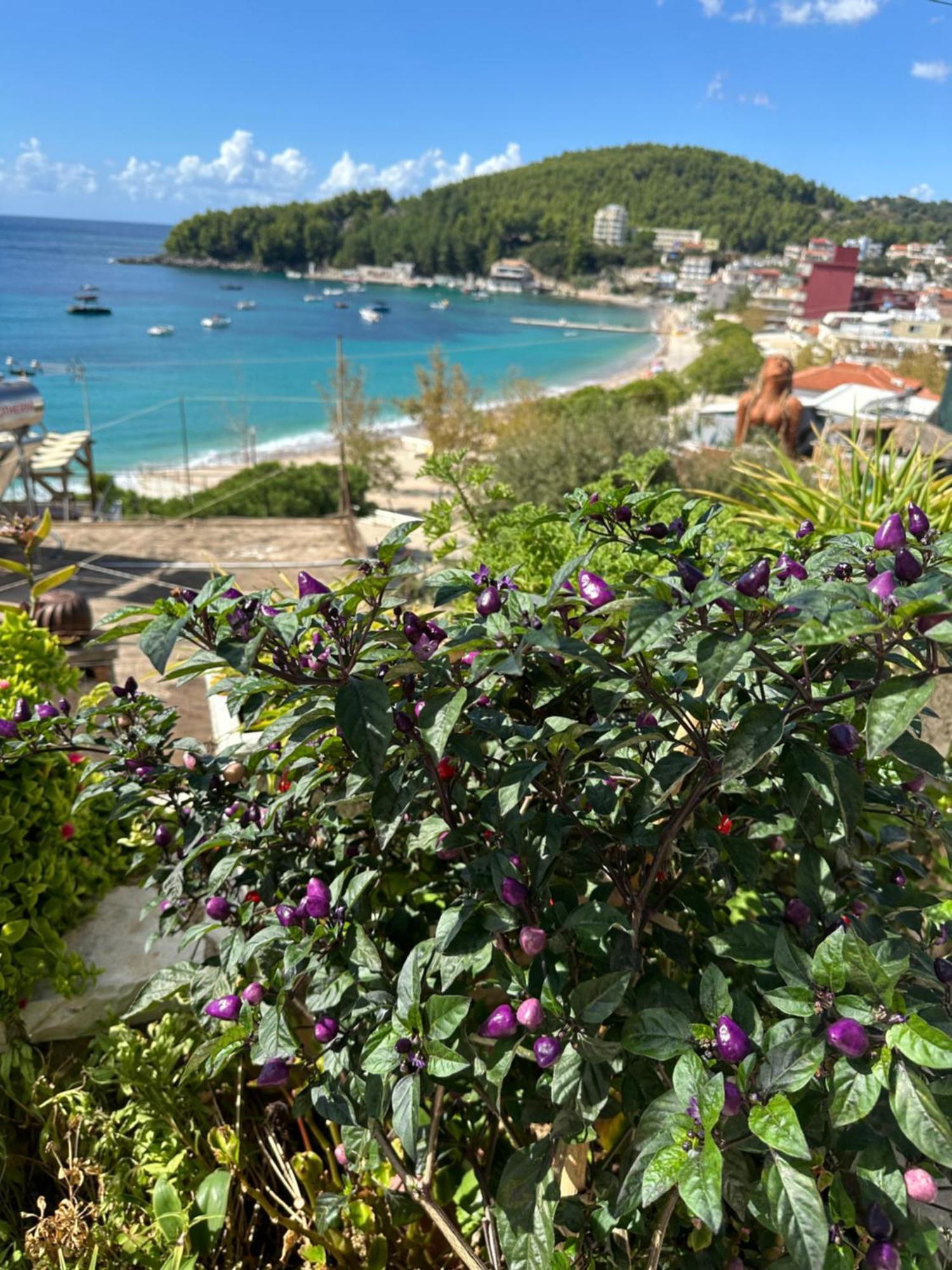Fane'S Apartments Himare Esterno foto