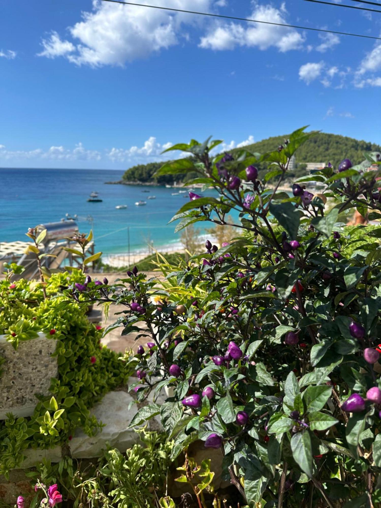 Fane'S Apartments Himare Esterno foto