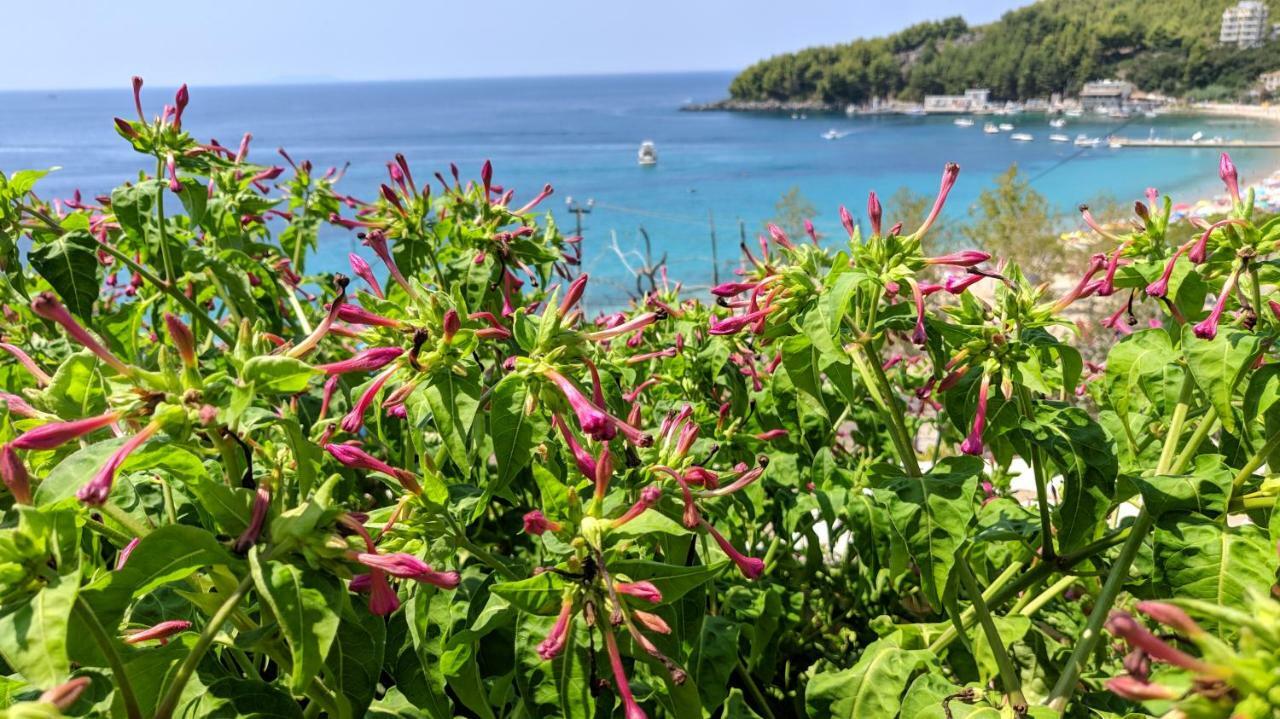 Fane'S Apartments Himare Esterno foto